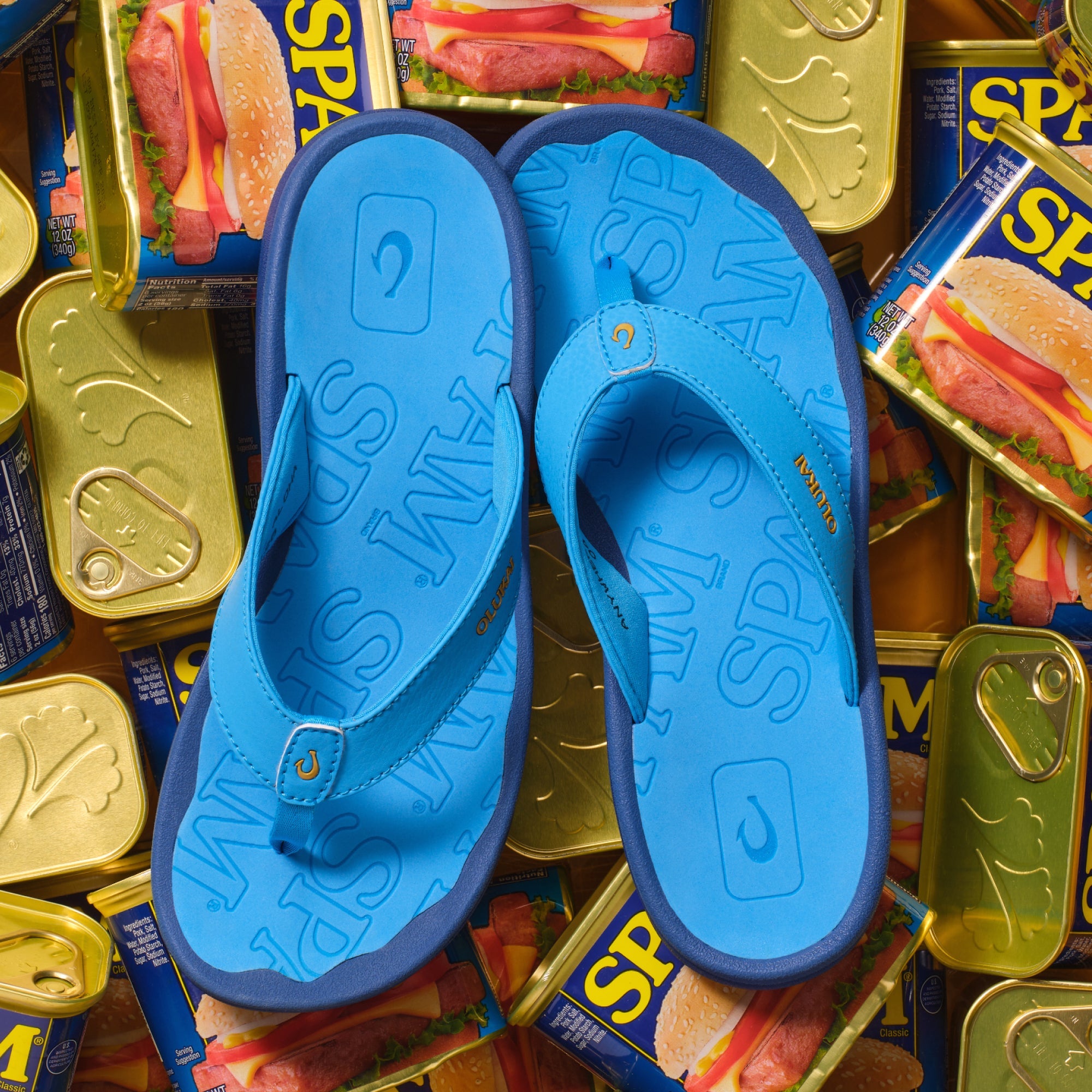 ‘Ohana  –  Bold Blue / Bold Blue