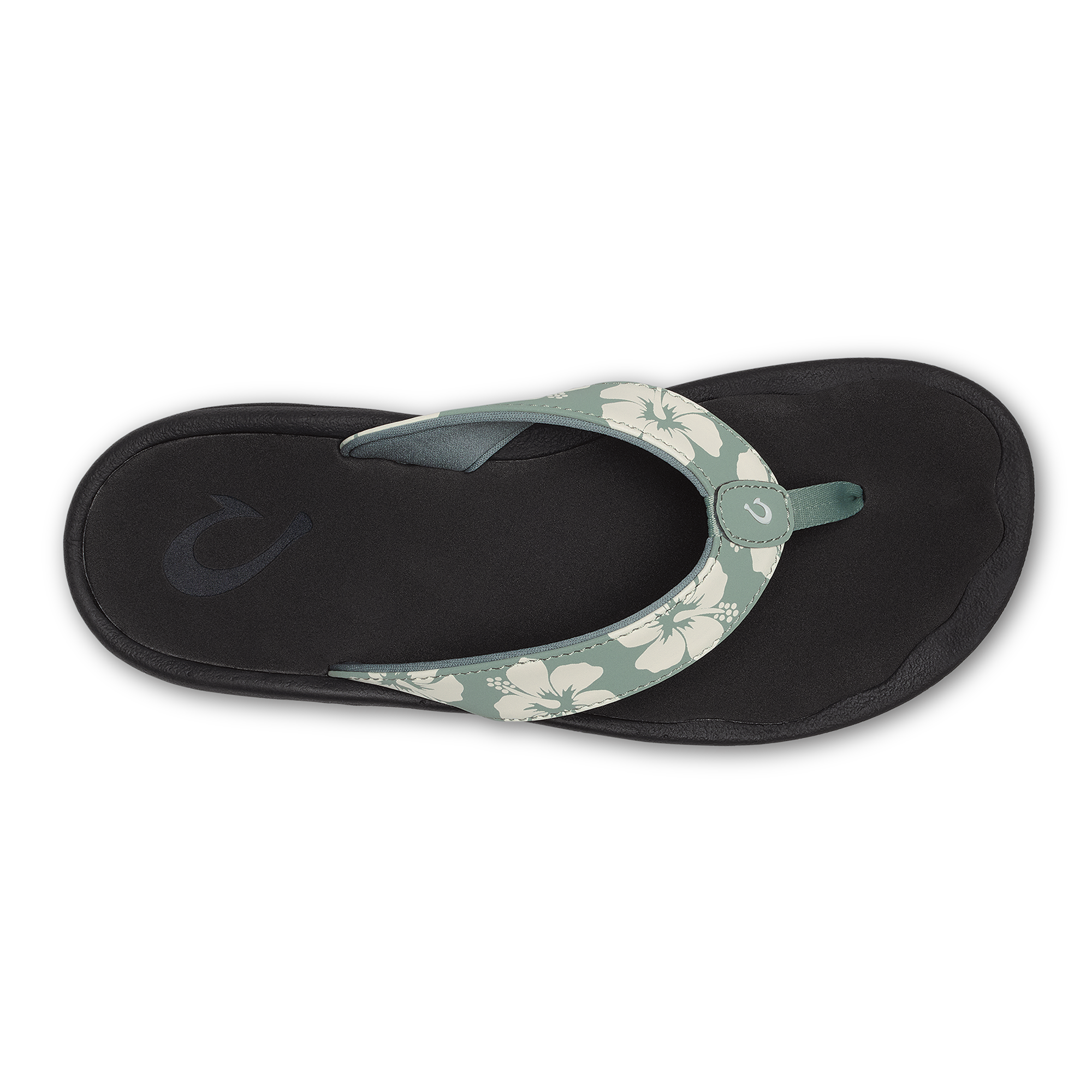 ‘Ohana  –  Silver Pine / Pua