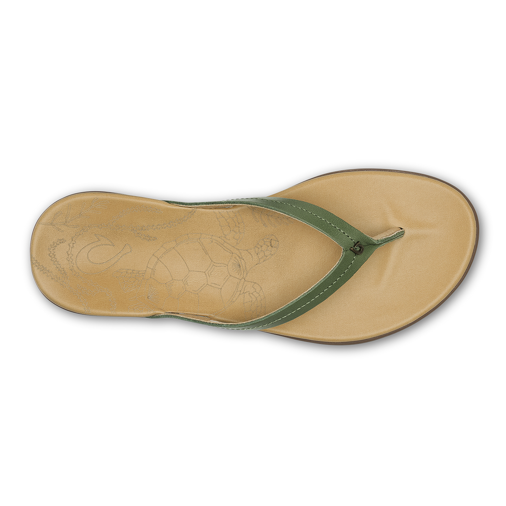 Honu  –  Green Olive / Golden Sand